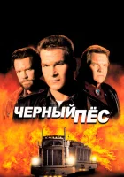 смотреть онлайн Черный пес (1998) бесплатно в HD 
