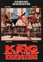 смотреть онлайн Король кикбоксеров (1990) бесплатно в HD 