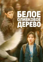  Белое оливковое дерево смотреть онлайн сериал 1 сезон 